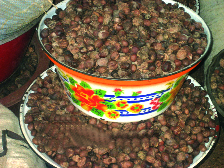 Filière karité : L’exigence d’autonomisation économique des femmes