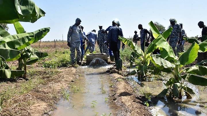 Comment une ''prison à ciel ouvert'' dans le village burkinabè de Baporo prépare à la réinsertion sociale des détenus