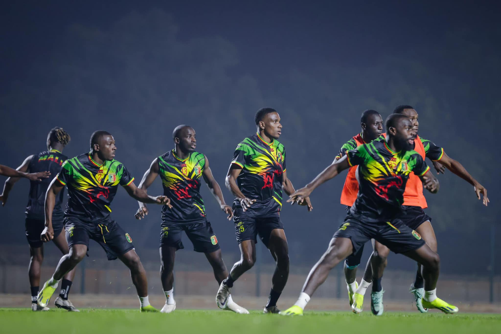 34ème édition de la coupe d’Afrique des Nations : Les Aigles pourront-ils se déplumer du poids mental ?