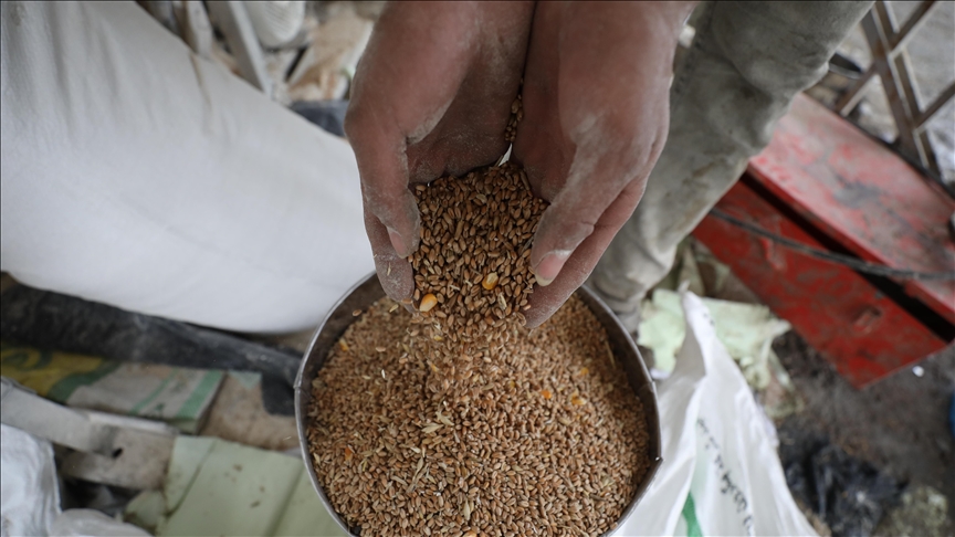 La "nourriture pour animaux", l'ultime recours des Gazaouis pour rester en vie