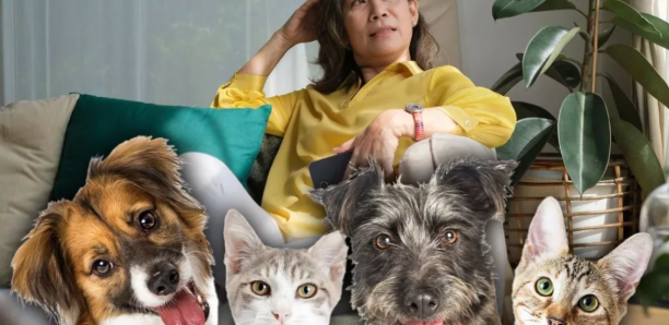 Chine : Elle déshérite ses enfants ingrats et décide de léguer 2,5 millions d’euros à ses chiens et chats