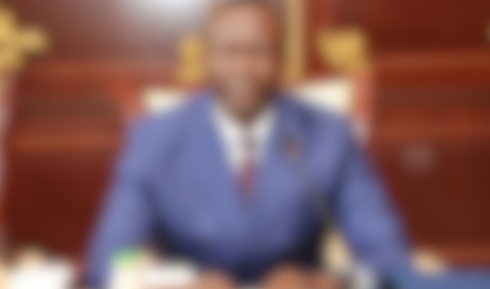 Le ministre de la défense de ce pays africain démissionne 10 jours après sa nomination à cause des femmes de militaires