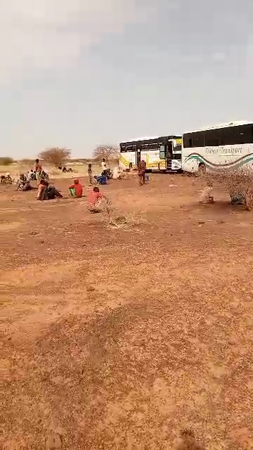 Insécurité : Trois chauffeurs de bus enlevés sur l'axe Gao-Niamey.
