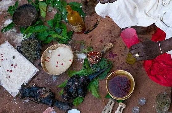 Angola: Plus de 50 "sorciers" morts après avoir été forcés d'ingérer une décoction aux herbes