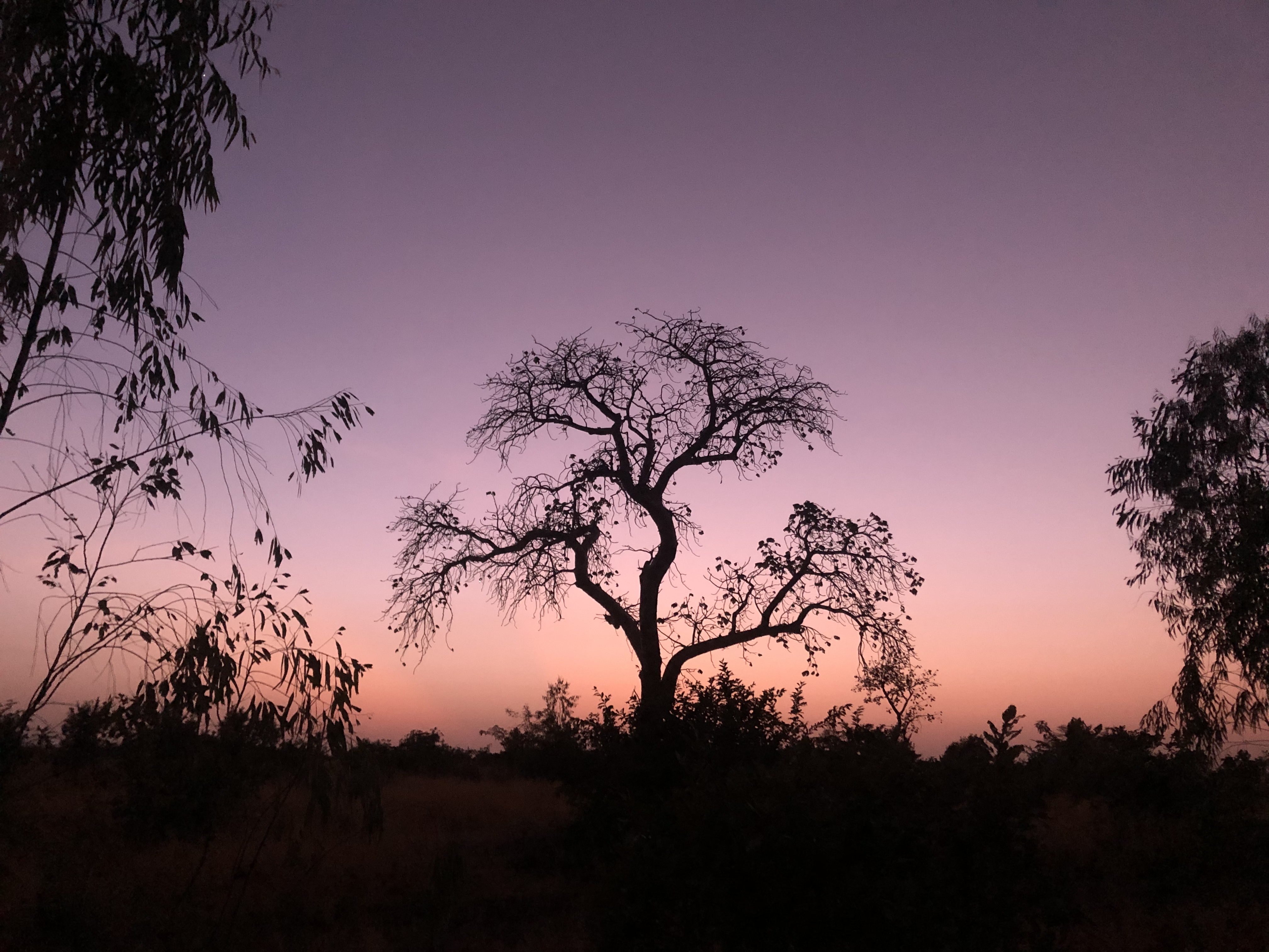 Région de Sikasso: Un détachement des FAMa attaqué à Dandéresso. 