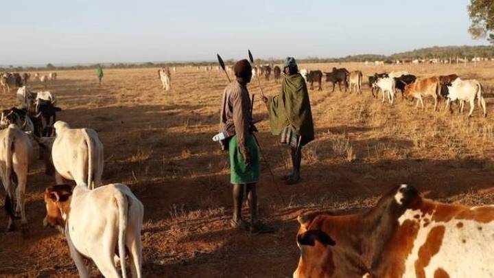 Tchad : 42 morts dans de nouveaux affrontements intercommunataires