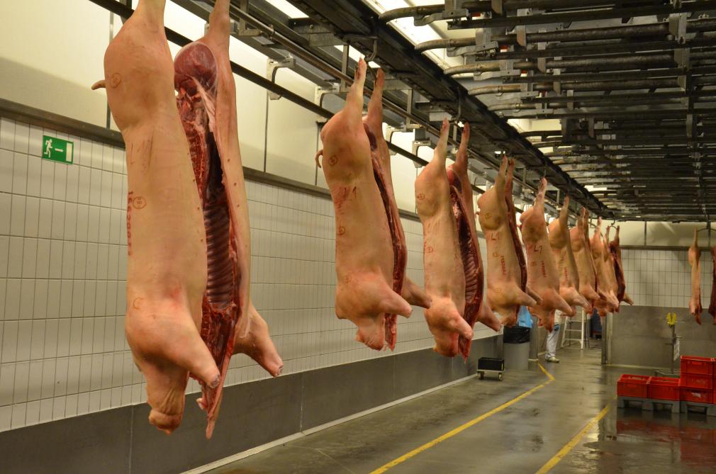 France : De la viande de porc livrée au siège du Conseil Français du Culte Musulman