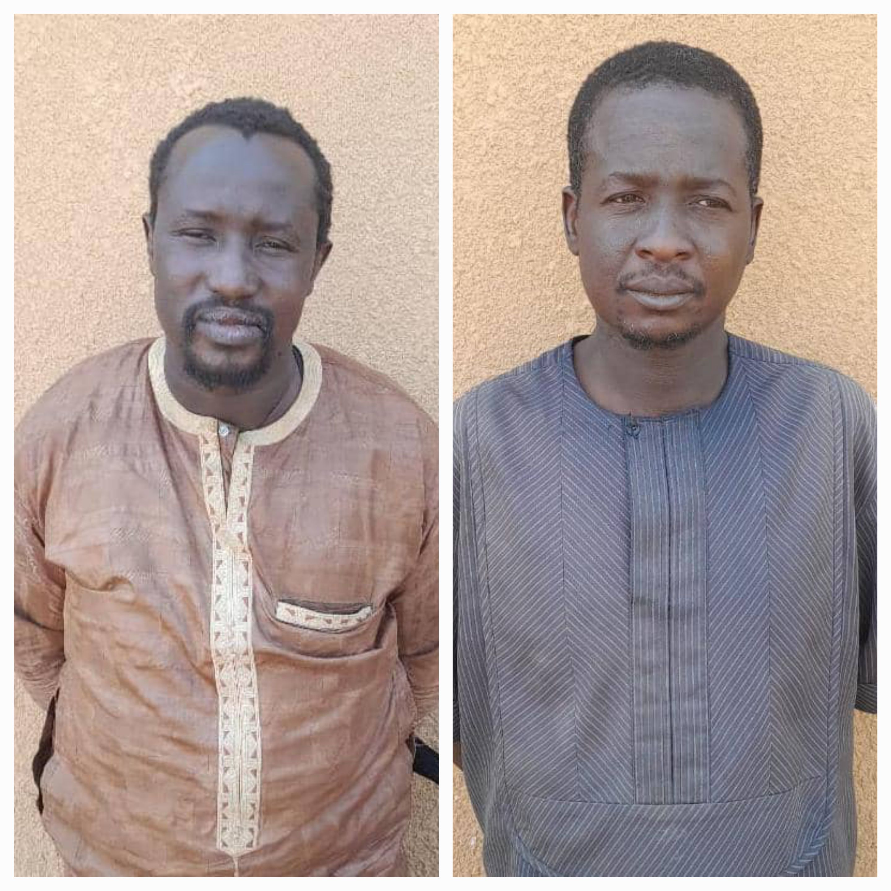 Lutte contre le terrorisme : Deux terroristes capturés par les FAMa à Gao.