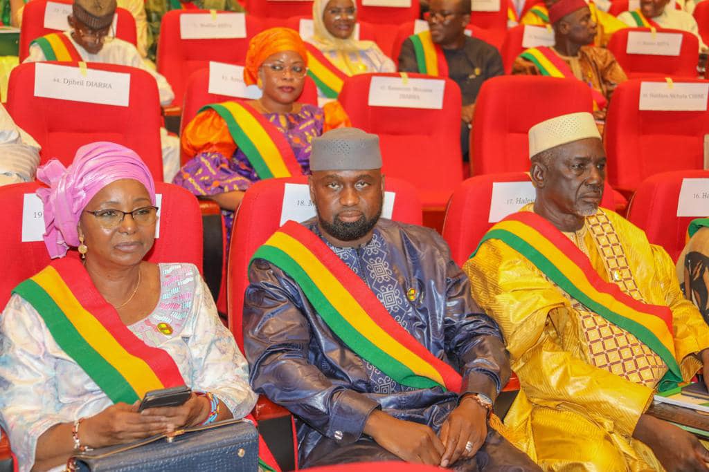 Transition politique au Mali : Quand des soutiens demandent la dissolution du CNT