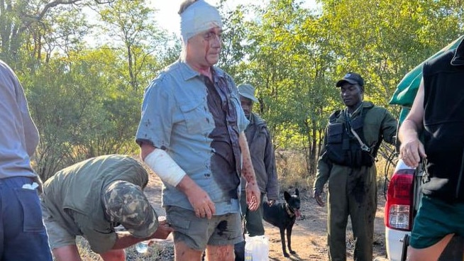 Un Athlète hospitalisé au Zimbabwe après une attaque de léopard 