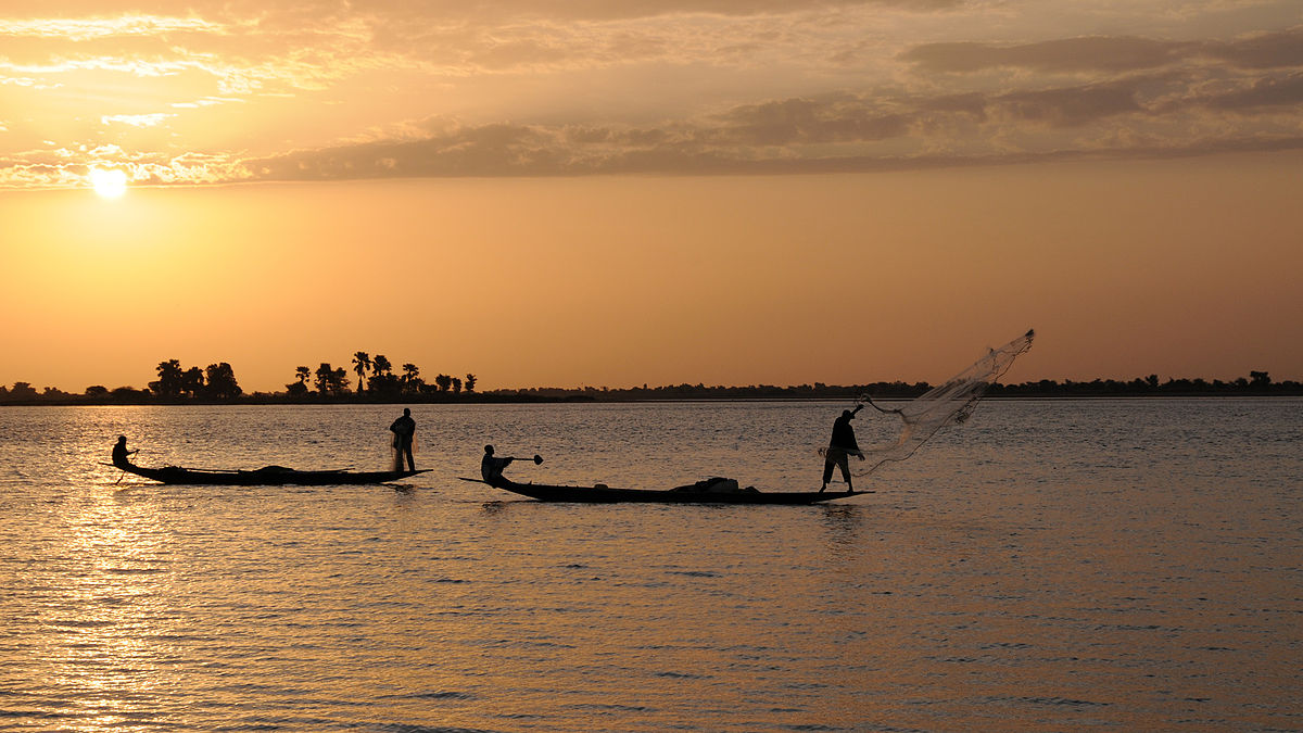 Mopti: les FAMa repoussent une attaque à Diafarabe.