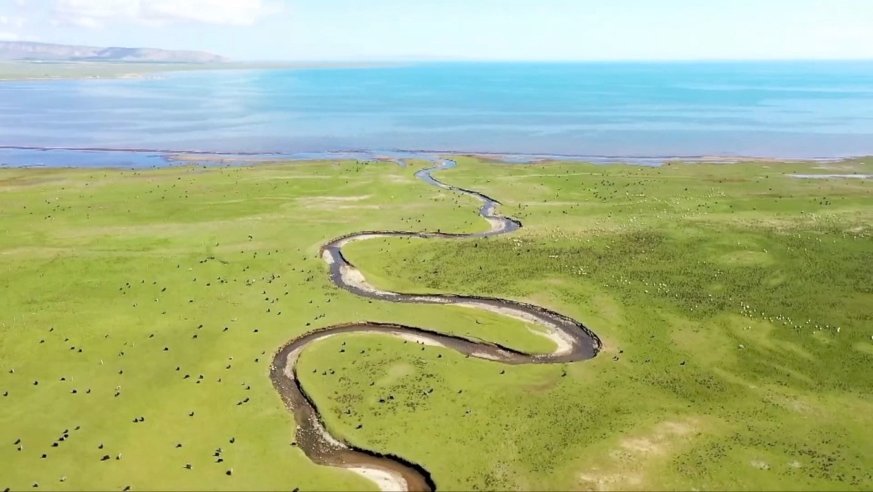 La protection écologique du lac Qinghai