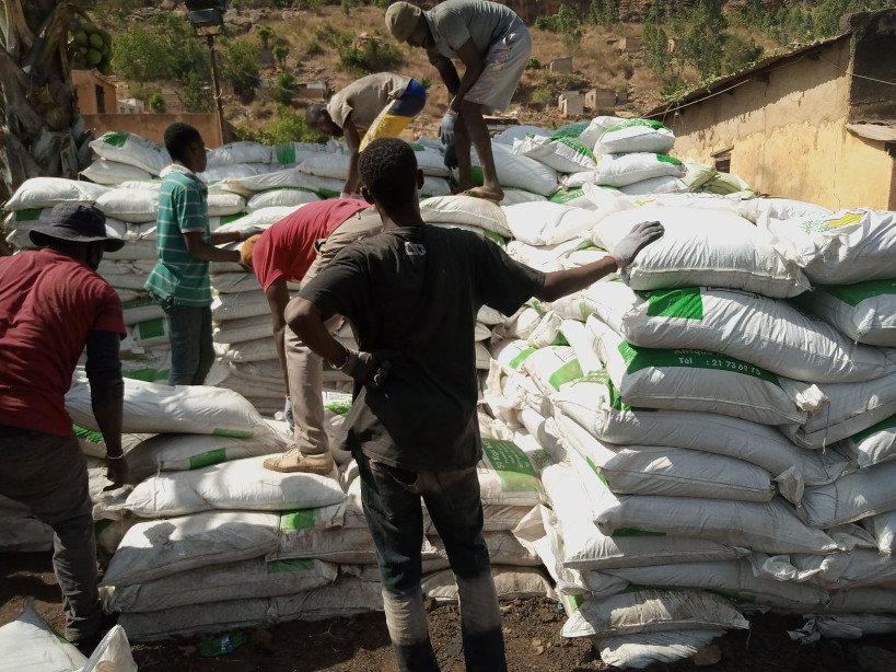 14e Conseil Supérieur de l’Agriculture : L’engrais minéral à 14 000 FCFA le sac et le coton graine à 300 francs CFA le kilo