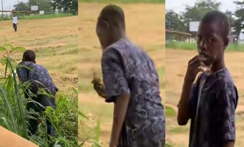 Nigeria: affamé, un garçon mange de l’herbe (vidéo)
