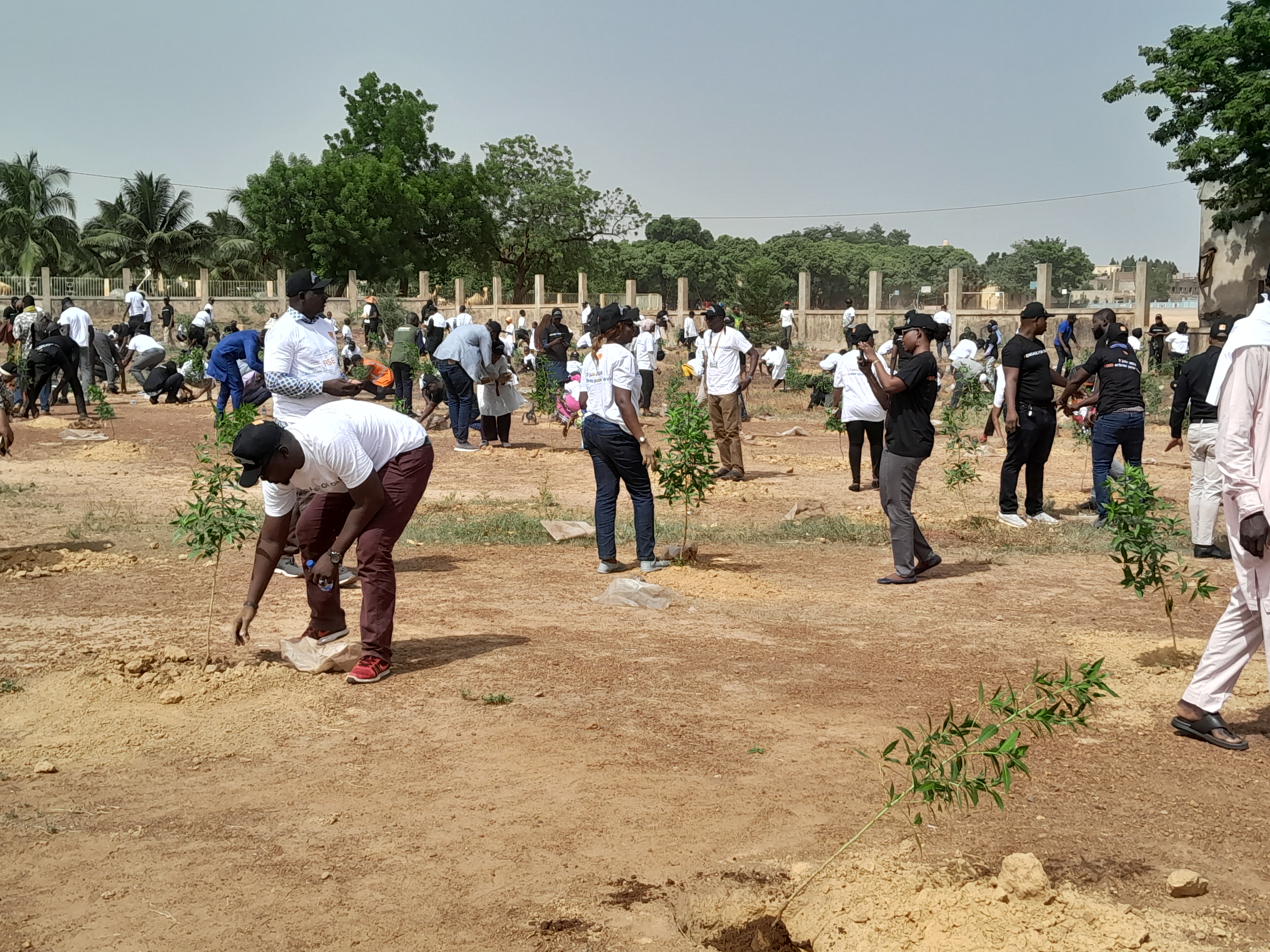 Journée mondiale de l’environnement : Les agents d’Orange Mali plantent 1000 arbres pour l’avenir !