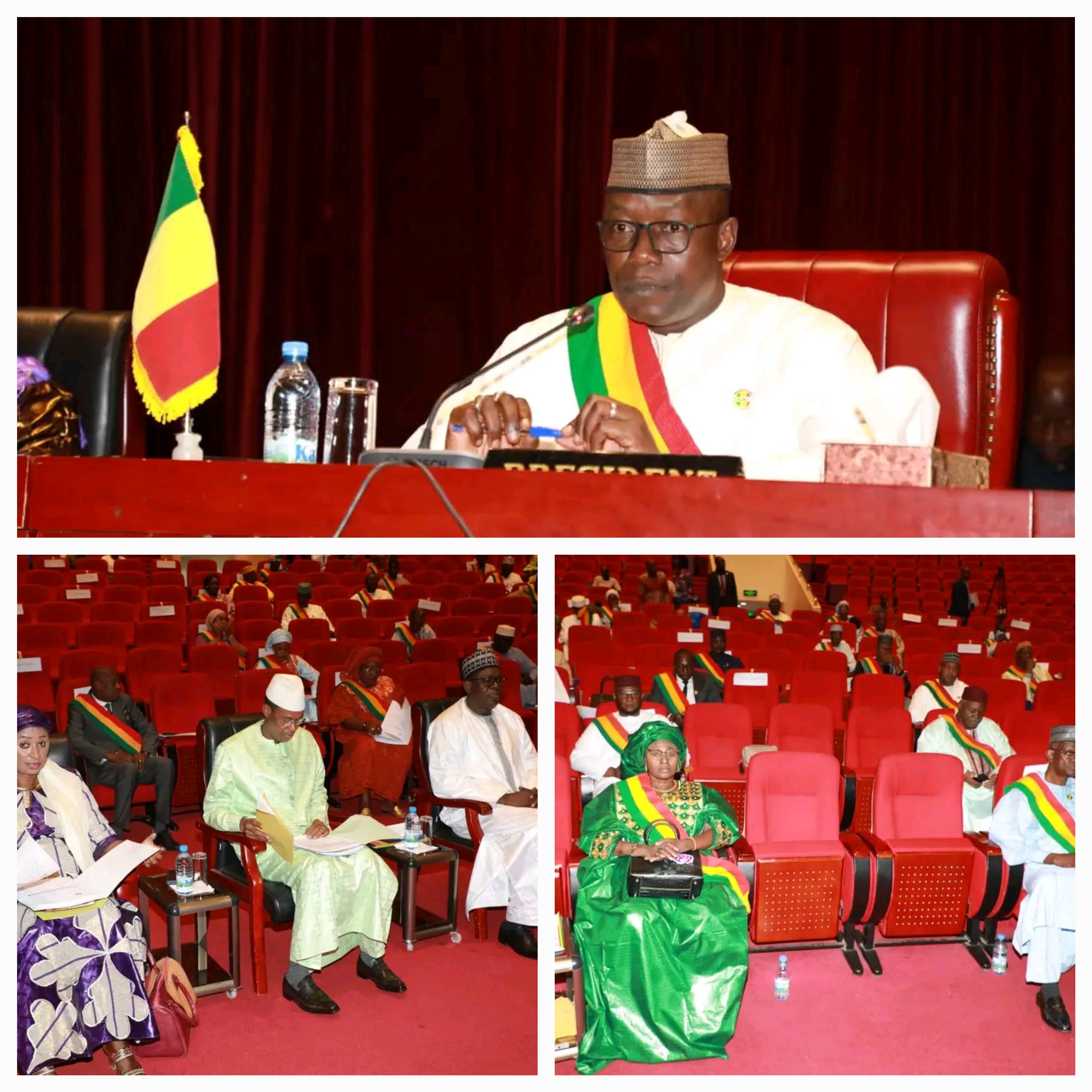 CNT : La loi portant modification de la Loi N° 2023-060 du 22 décembre 2023 portant loi de Finances adoptée à l'unanimité.