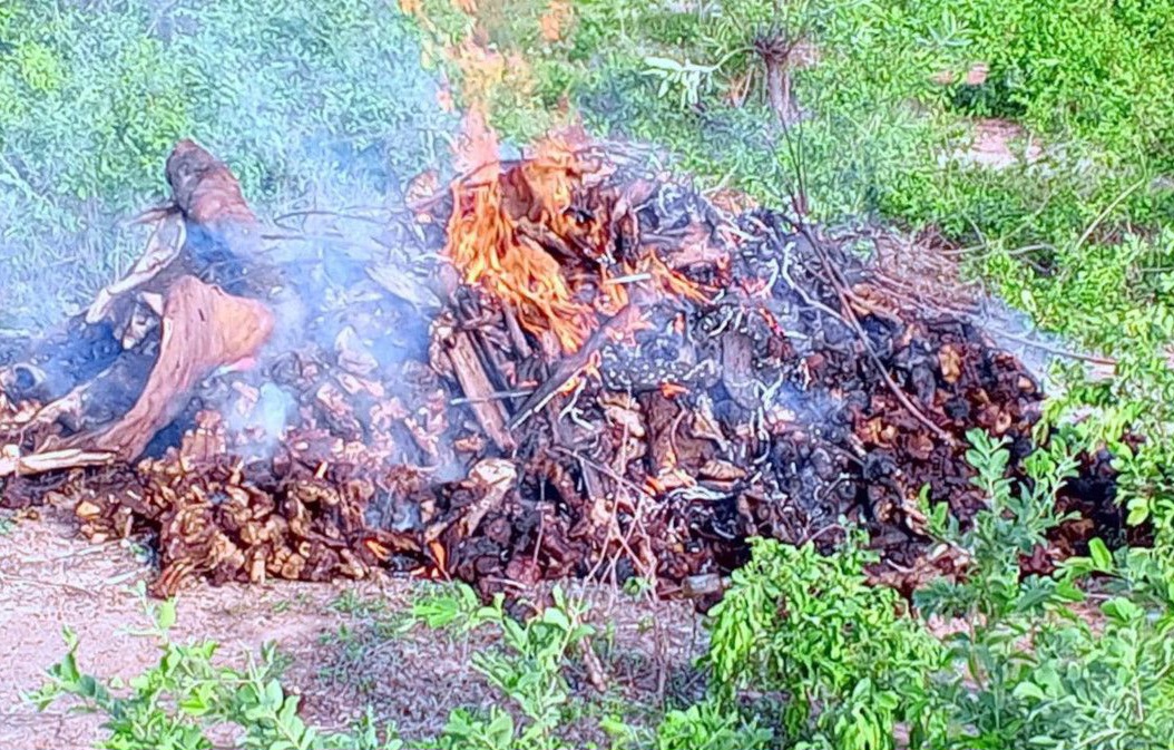 Kadiolo : une dame arrêtée en possession de viande avariée, saisie puis détruite