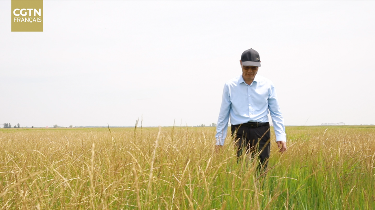 Pr Liu Gongshe, le père de l’herbe à mouton Zhongke