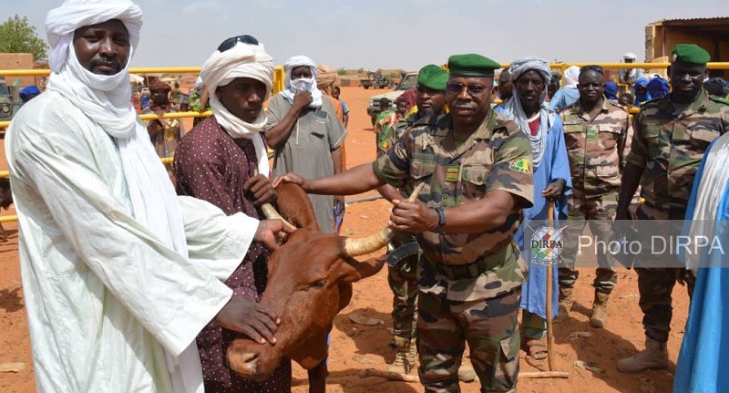Gao : Les FAMa récupèrent des bœufs dans les mains des terroristes