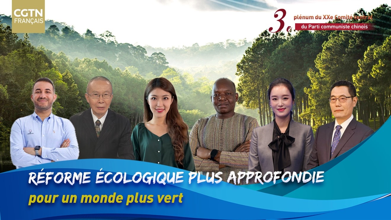 Table ronde : « Réforme écologique plus approfondie pour un monde plus vert » 