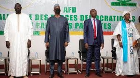 Charte nationale pour la Paix et la Réconciliation : L’Afd souhaite la participation des mouvements armés à la rédaction