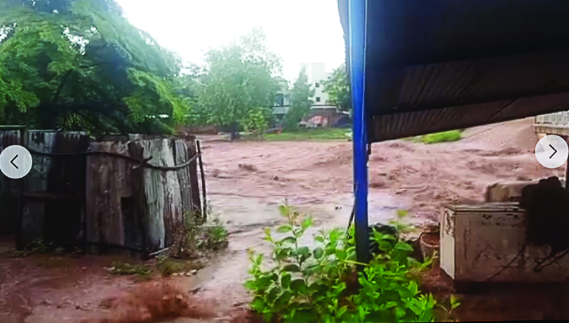 Saison agricole 2024 : Le Mali sous le charme de dame nature 