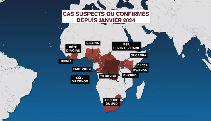 Mpox : quels sont les pays africains touchés par la variole du singe ?