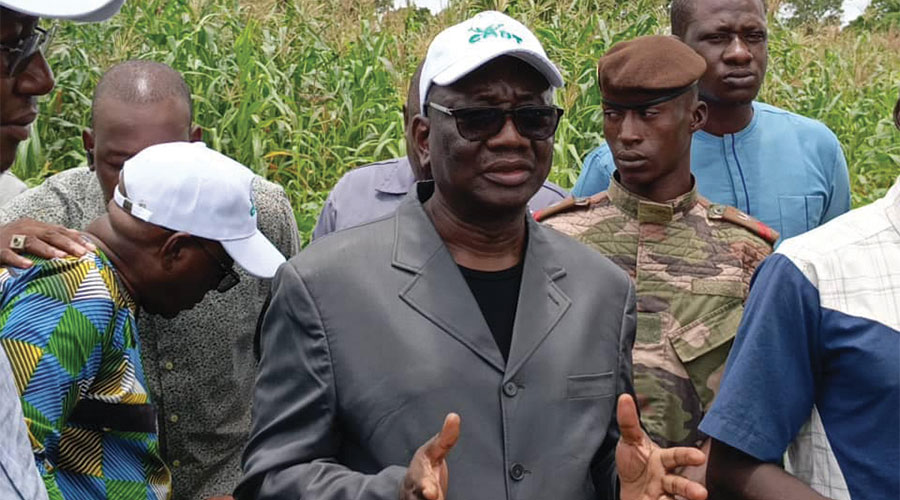 Supervision de la campagne agricole en zone CMDT : Le constat rassurant du ministre de l’Agriculture