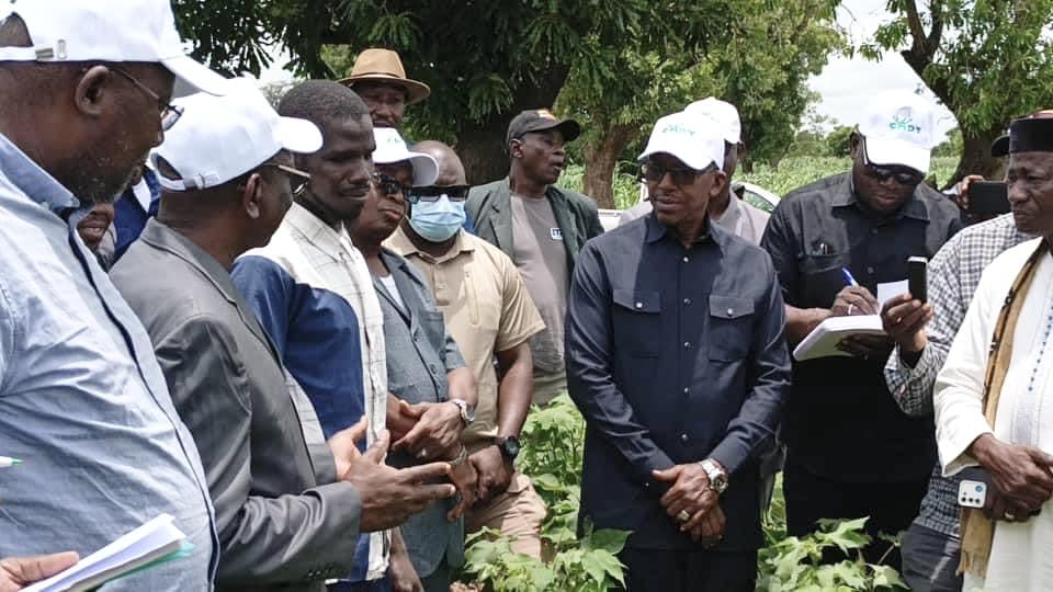 Le nouveau PDG de la CMDT, Pr Mamadou Moustapha Diarra, lors de sa première sortie de terrain : « Le Mali atteindra une production supérieure ou égale à sa production précédente»