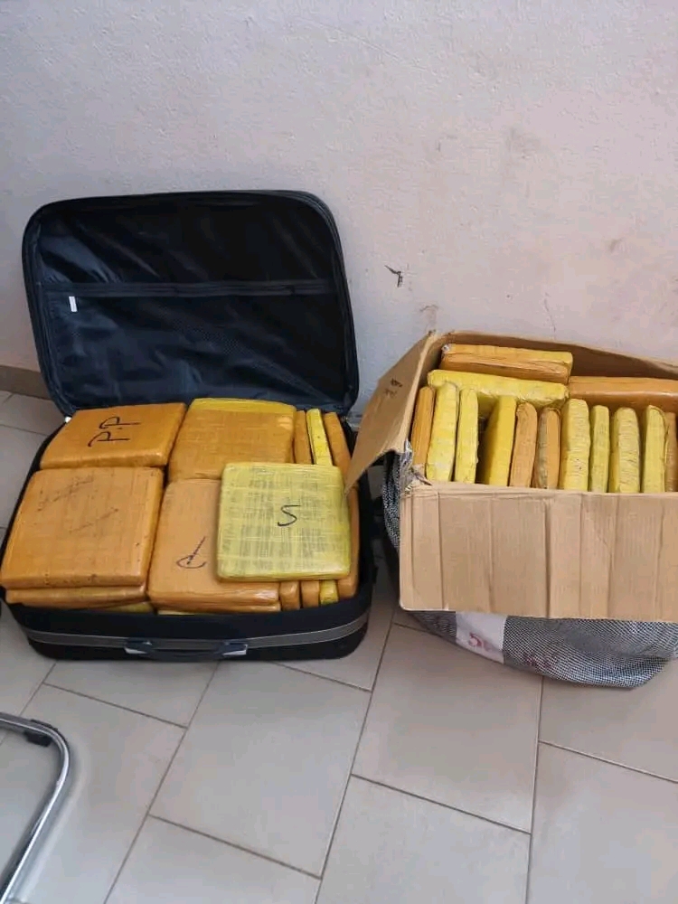 Mali : 77 briques de cannabis saisies par la douane de Koutiala