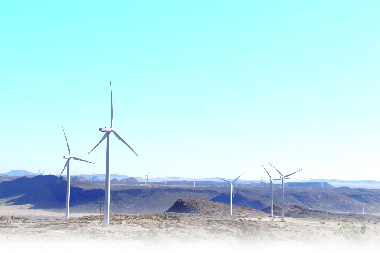 La Chine et l'Afrique coopèrent pour construire une Afrique plus verte