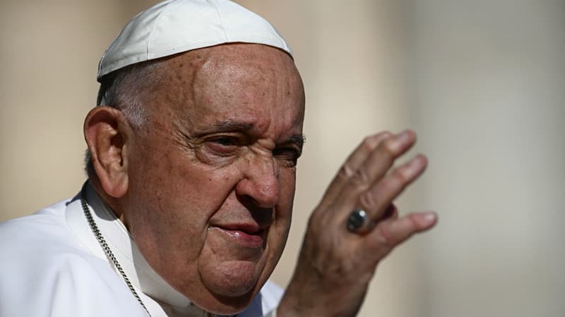 Le pape François fustige à nouveau les familles qui préfèrent "un chat ou un chien plutôt qu'un enfant"