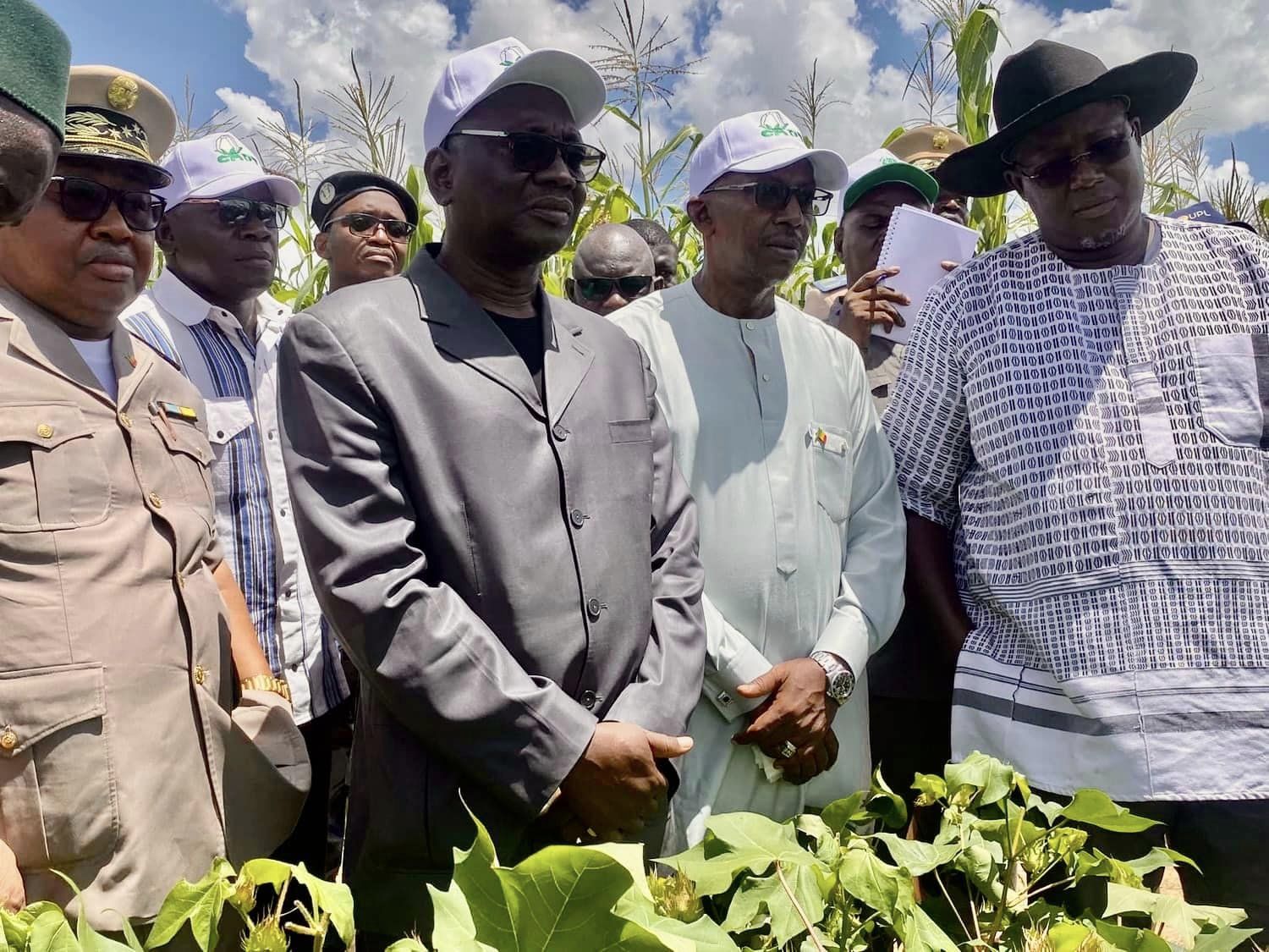 Campagne Agricole dans la Zone CMDT : l’état des champs est satisfaisant…