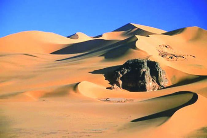  Terrorisme international : Le Polisario et la CMA parrainés par Alger