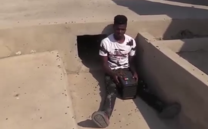 Insolite : des abeilles att.aquent un voleur, le forçant à rendre l’objet volé (Vidéo)