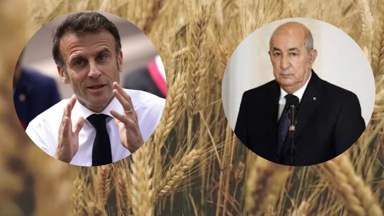 Exclusif - L'Algérie exclut la France d'un appel d'offres pour l'importation de blé en raison de l'aggravation des relations, selon certaines sources