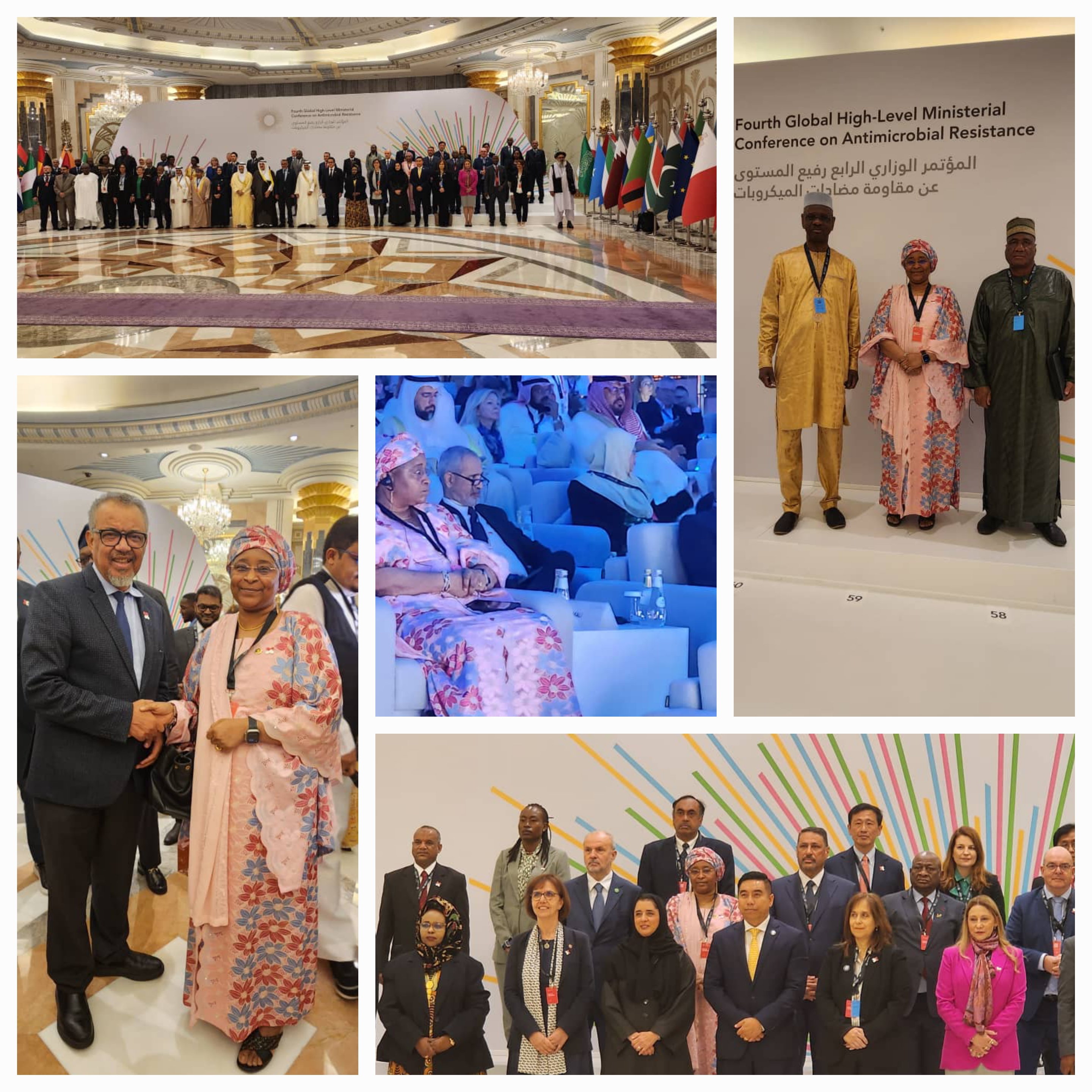 Djeddah : PARTICIPATION DU MALI À LA 4ÈME CONFÉRENCE SUR LA RÉSISTANCE AUX ANTIMICROBIENS 