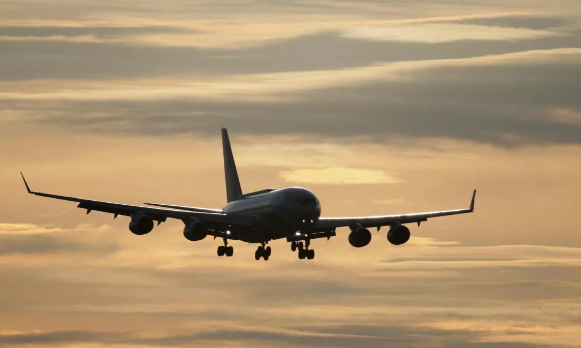 Les membres de l’AES choisissent de développer leurs propres compagnies aériennes