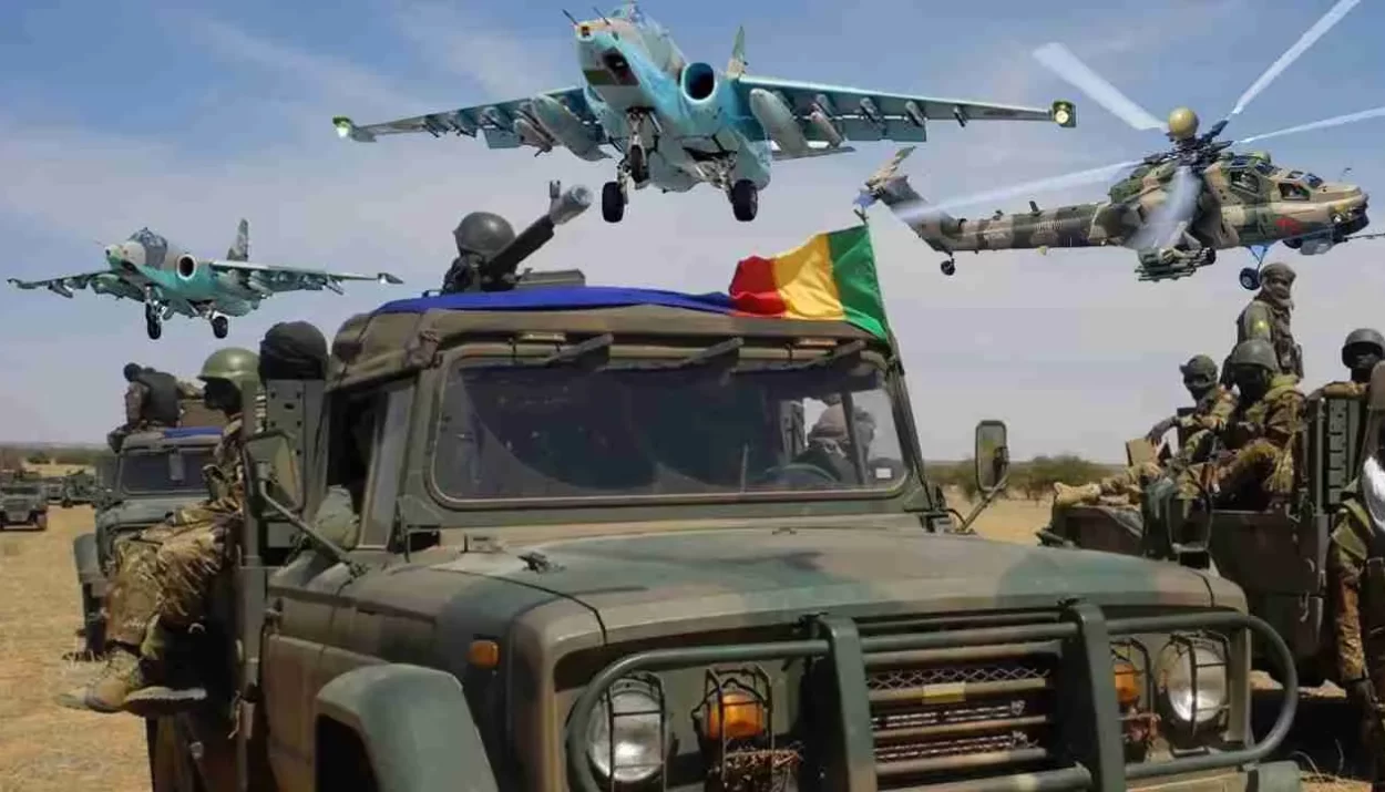 Focus : À tire-d’aile