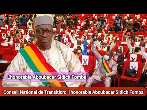 Le président de la commission de la santé du CNT, Aboubacar Sidick Fomba “Il est inacceptable que des fonctionnaires se permettent d’aller travailler dans les structures de santé privées”
