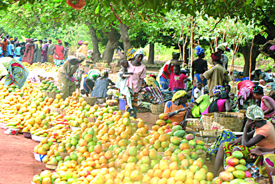 La mangue et ses valeurs nutritives: Un fruit énergisant et succulent