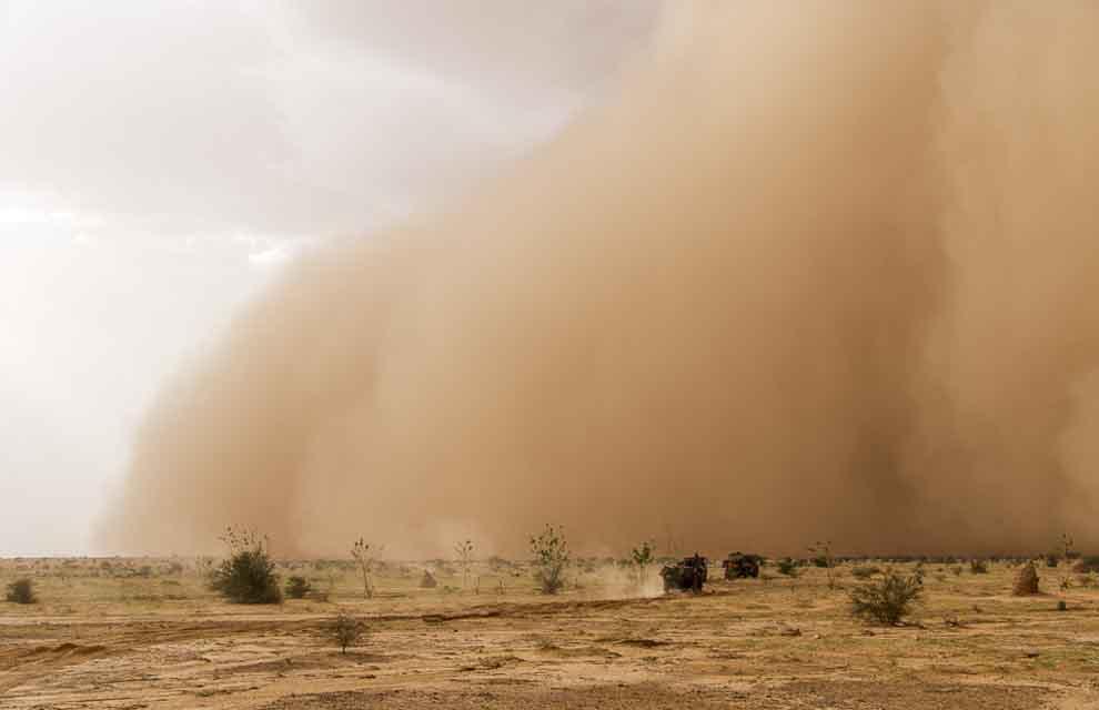 Lutte contre la désertification au Mali : Le défi peut être relevé