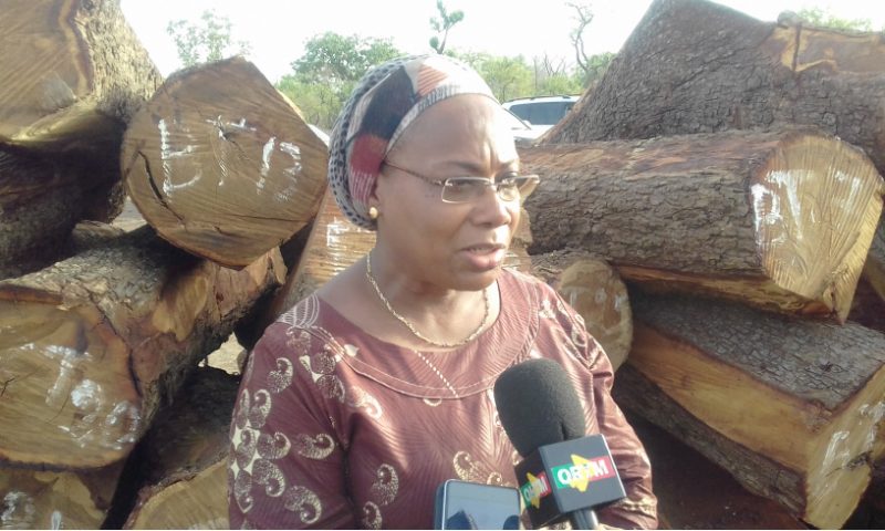 Campagne nationale de reboisement 2022 : Le Réseau Enrgie Mali à Bancoumana  et  Kela pour  accompagner   l’Etat