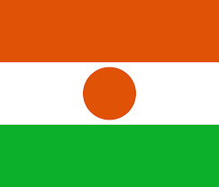Niger : Mohamed Bazoum annonce l'arrestation d'une trentaine de "hauts cadres" - Pour "malversation ou détournement".