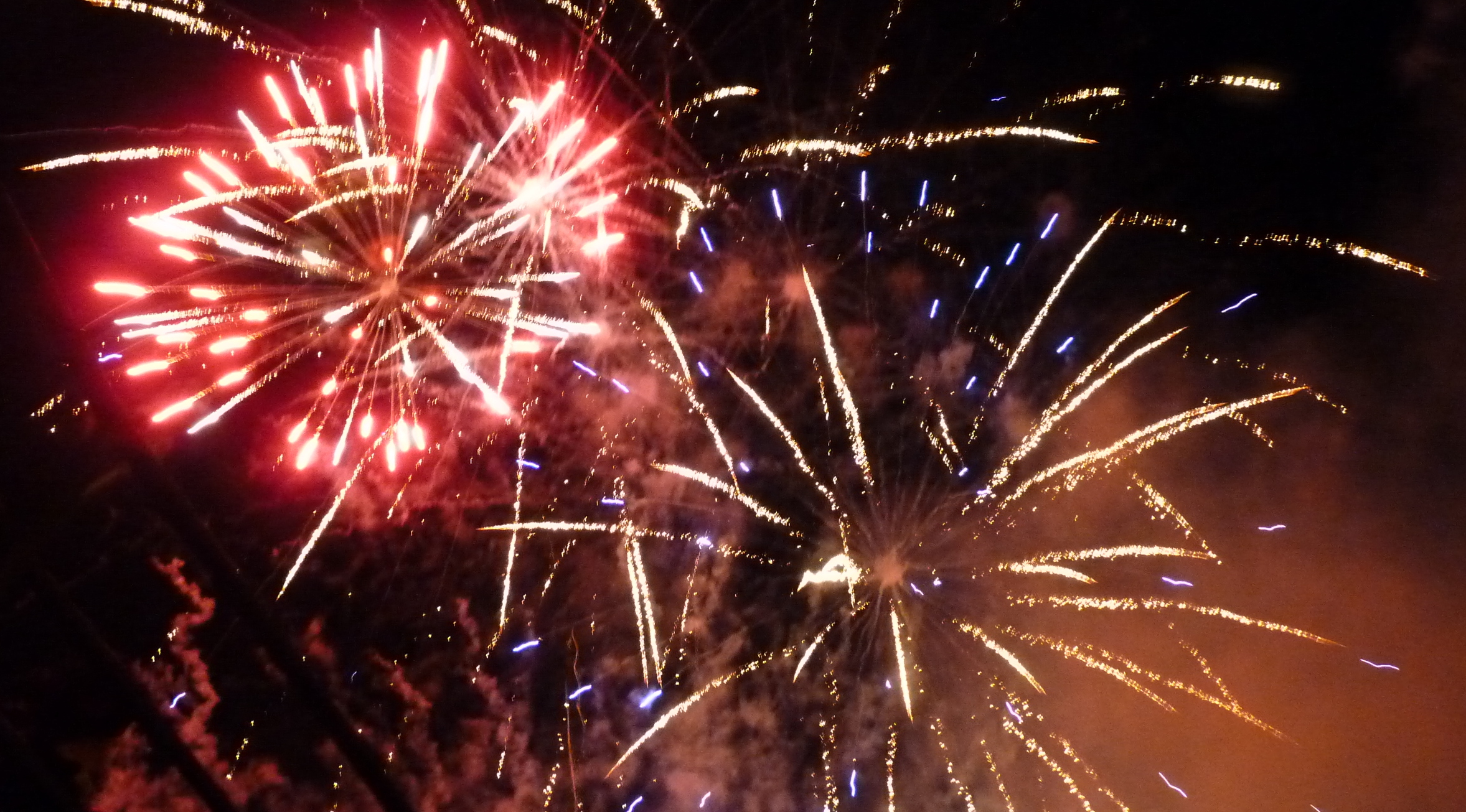 Fête de fin d’année : une période de bonne affaire