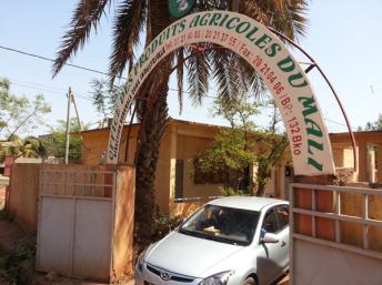 Le Pdg de l’office des produits agricoles du Mali (Opam) Youssouf Maïga : “Il nous faut 50 000 tonnes au lieu de 35 000 tonnes pour faire face à l’insécurité alimentaire”