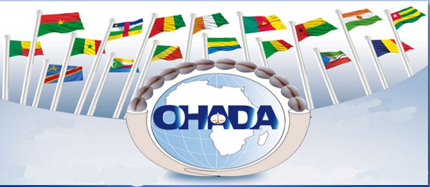 Le PM Moctar Ouane à la cérémonie de clôture du conseil des ministres de l’OHADA : «La construction d'un espace juridique sécurisé par le droit harmonisé ne saurait être une œuvre statique… »