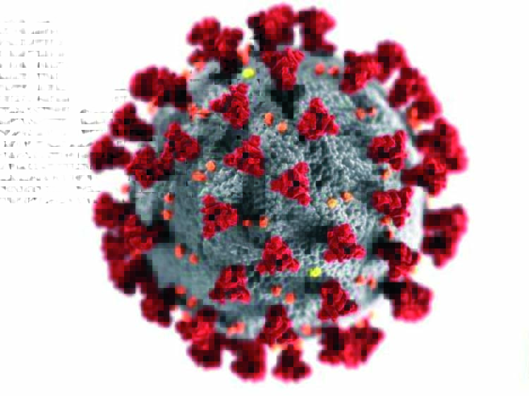 Pandémie de COVID-19 : Quel impact sur les droits de l’Homme au Mali ?