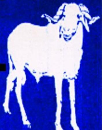 Crise au nord, au centre et à l’ouest du Mali: Le PARENA se cramponne sur la voie du dialogue avec Iyad et Kouffa !