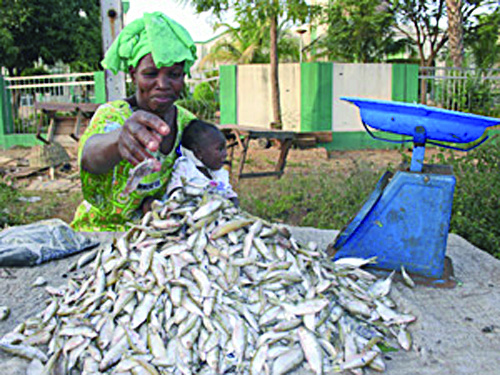 Navigation : Fin de misère au port de pêche de Mopti